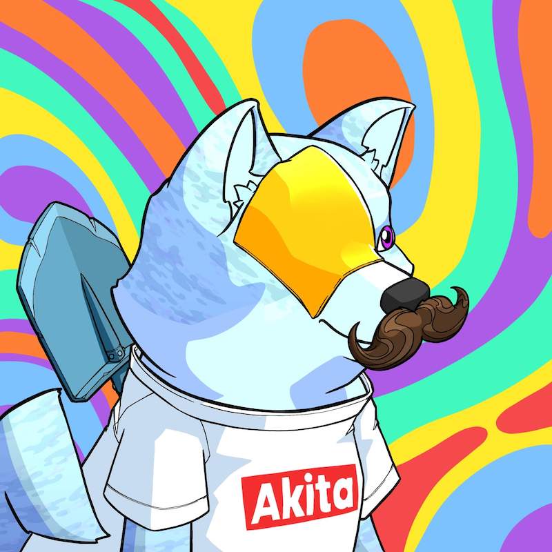 Akita 0089