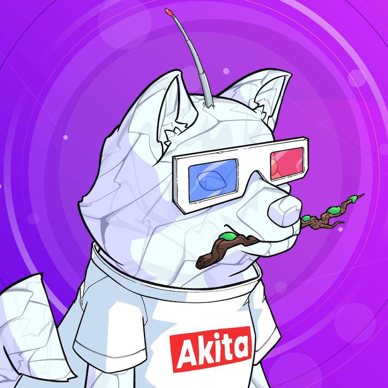 Akita 0095