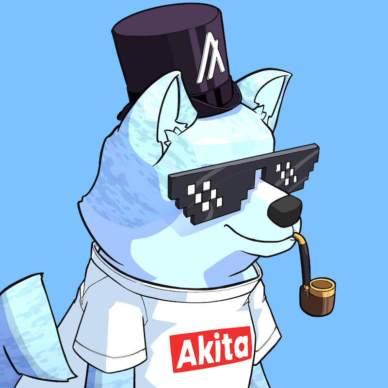 Akita 0248