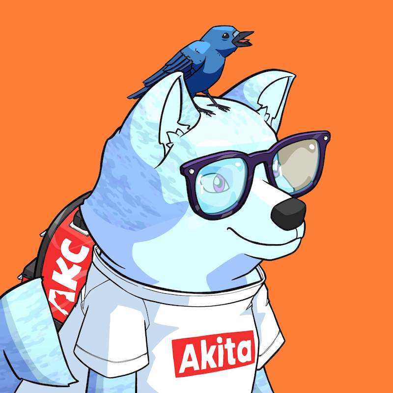 Akita 0422