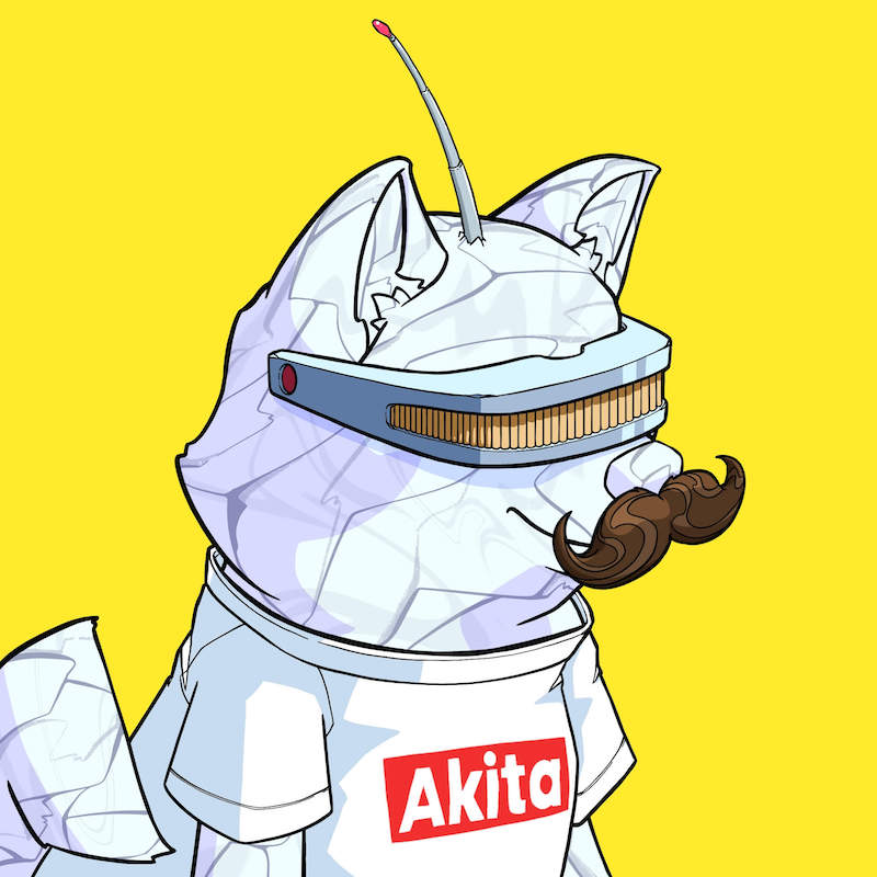 Akita 0471