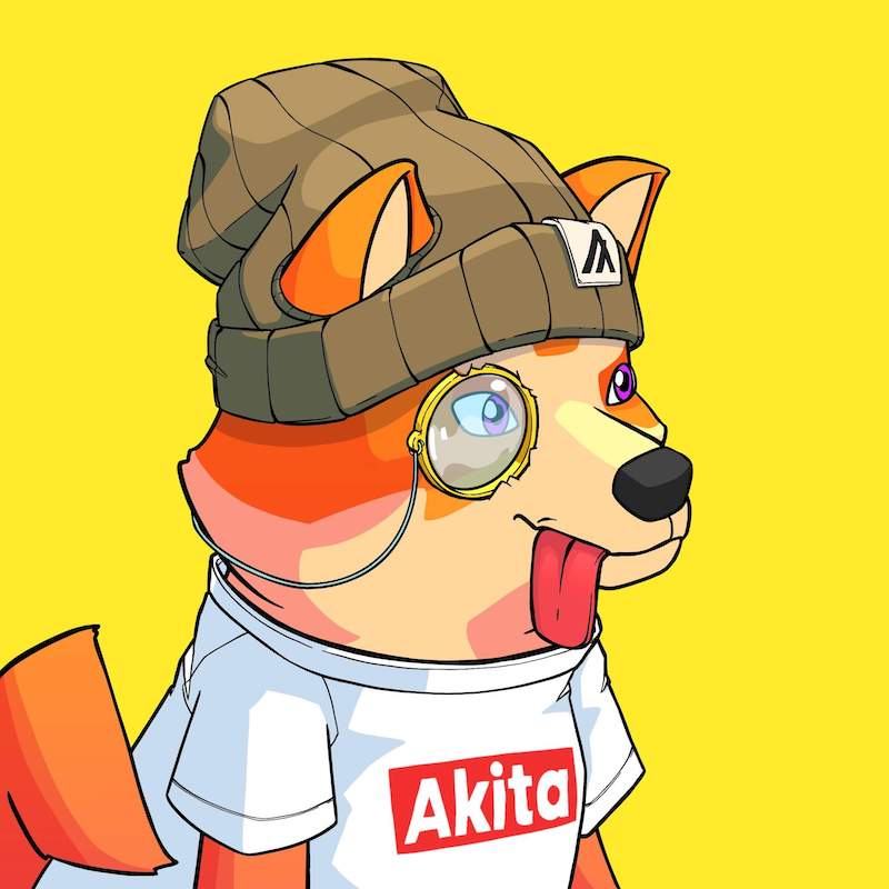 Akita 0484