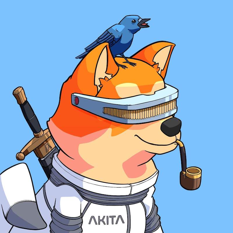 Akita 0602