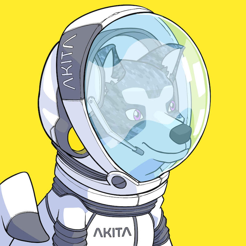 Akita 0609