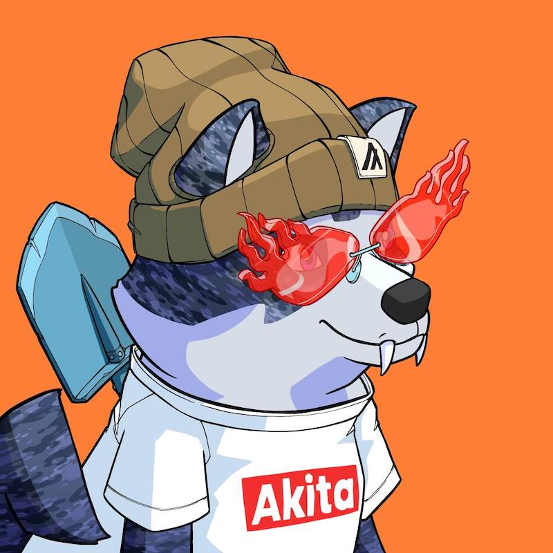 Akita 0682