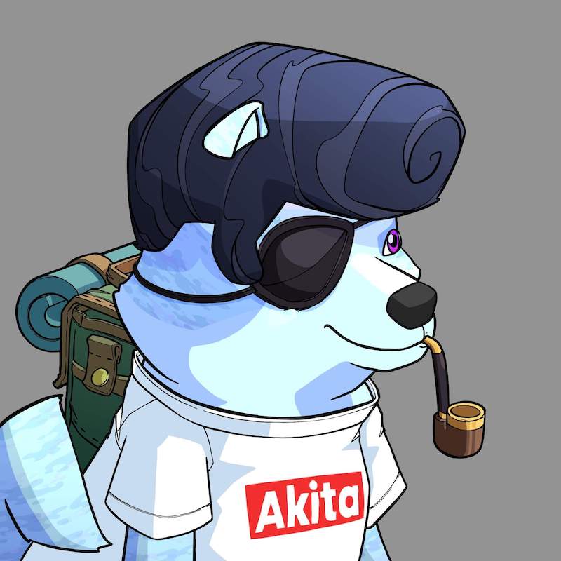 Akita 0802