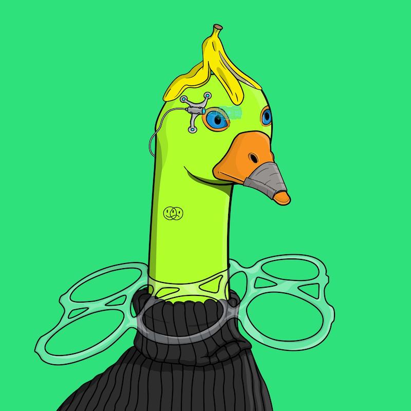 CGF #64