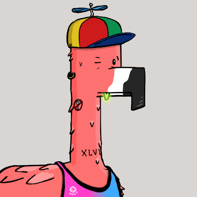M.N.G.O #381