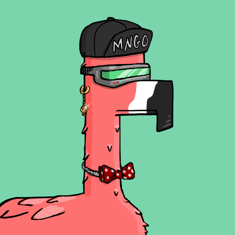 M.N.G.O #403