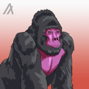 AlgorillaArmy#731