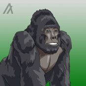 AlgorillaArmy#735