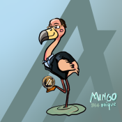Unique Mingo 314 -Silvio Mingali