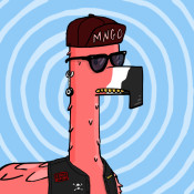 M.N.G.O #1008
