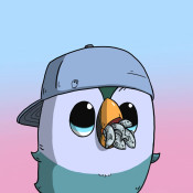 Pooof #1681